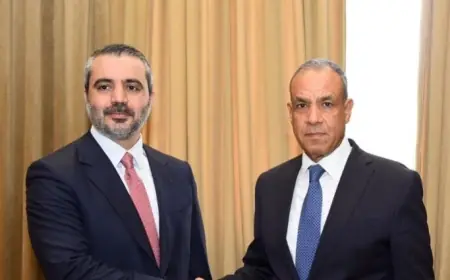 وزير الخارجية المصري يعبر عن دعم مصر الثابت لوحدة سوريا وسيادتها