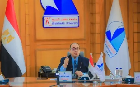 رئيس جامعة كفر الشيخ يكشف عن خطة شاملة لتطوير التعليم والبحث العلمي والمستشفيات الجامعية