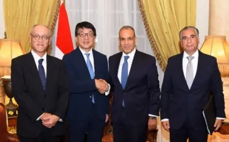 عبد العاطي يناقش فرص الاستثمار في مصر مع شركة تويوتا تسوشو اليابانية