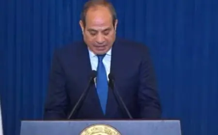 الرئيس السيسي يؤكد أن التسويات السياسية الشاملة هي الحل الأمثل لإنهاء أزمات المنطقة