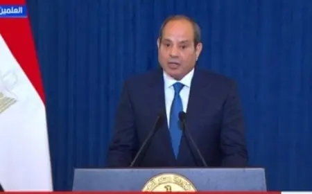 الرئيس السيسي يؤكد أهمية مشروعات الربط الكهربائي بين مصر واليونان لتعزيز التعاون الطاقي