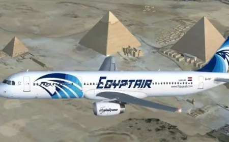 مصر للطيران تدعم تدريب طياريها بجهاز محاكاة متطور لطائرات A320neo