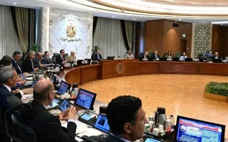 الحكومة تعزز المساحات الخضراء بتشجير الطرق والمحاور الرئيسية وتمنع قطع الأشجار