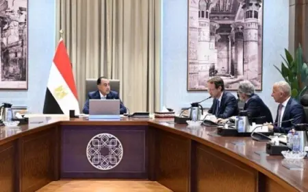 بتوجيهات من الرئاسة الحكومة تعزز جهودها في زراعة الأشجار وتوسيع الرقعة الخضراء