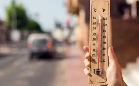 مركز المناخ يعلن عن موعد انتهاء موجة الحر وتحذيرات هامة للمزارعين قبل انخفاض درجات الحرارة