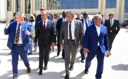 وزير الخارجية ورئيس شركة العاصمة الجديدة يقودان جولة سفراء أفريقيا في العاصمة الجديدة