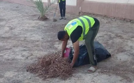 الإفتاء تطور منظومة شاملة للفتوى المعاصرة من ضمير المفتي إلى خوارزميات المستقبل