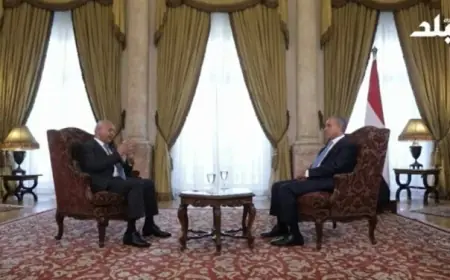 وزير الخارجية يكشف تفاصيل التحركات المصرية حول غزة ومستقبل الأسلحة