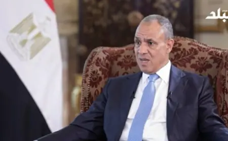 بدر عبد العاطي يؤكد ضرورة إنهاء الاحتلال لتعزيز سيادة الدولة اللبنانية