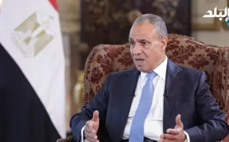 مصر تعزز جهودها لتوحيد المؤسسات الليبية وضمان إجراء الانتخابات