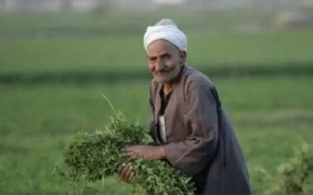 غدا وزير الزراعة يحتفل بالعيد الرابع والسبعين للفلاحين في البحيرة