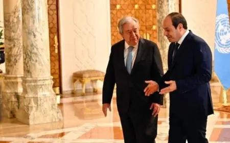 الرئيس السيسي يؤكد commitment مصر لتعزيز التعاون المثمر مع الأمم المتحدة ووكالاتها المتنوعة