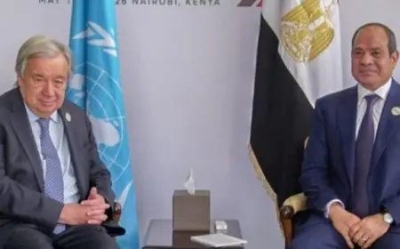 الرئيس السيسي يؤكد دعم مصر لإصلاح الأمم المتحدة وتعزيز دورها الدولي أمام جوتيريش