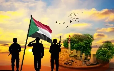 الرئيس السيسي يؤكد أن أمن السودان وسيادته واستقراره خط أحمر لمصر ولن تسمح بتجاوزه
