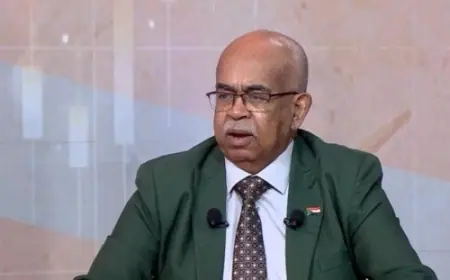 وزير الطاقة السوداني يعلن عن وصول الربط الكهربائي مع مصر إلى 300 ميجاوات في المرحلة الأولى