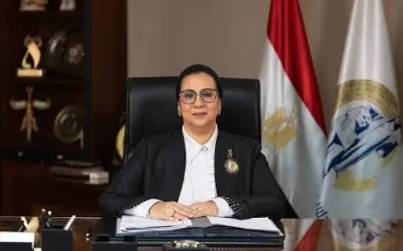 المستشارة أمل عمار تؤكد قوة حضور المرأة المصرية في جميع المجالات
