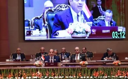 الرئيس السيسي يؤكد أهمية بناء اقتصادات قوية تعزز من قدرتها على التصدي للتحولات العالمية المتسارعة