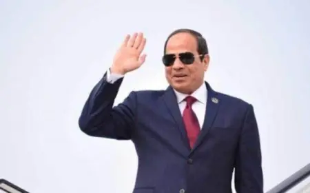 الرئيس السيسي يعود إلى مصر بعد نجاح مشاركته في قمة بريكس بالهند