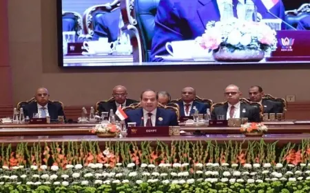 رحلة السيسي إلى نيودلهي وتفاصيل مشاركته في قمة بريكس الثامنة عشرة يوثقها المتحدث الرئاسي في فيديو مميز