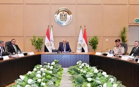 اللجنة العليا لتراخيص الشواطئ تقر 44 طلباً لمشروعات جديدة على السواحل