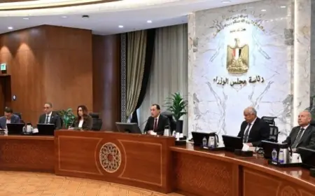 مدبولي يطلق مشروع تخضير المحافظات لتعزيز التشجير واستغلال المساحات الخالية