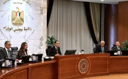 مدبولي يؤكد أهمية المتابعة الشخصية لملفات النظافة والإنارة والطرق للمحافظين