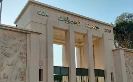اكتشفوا تفاصيل عودة حديقة الحيوان بالجيزة بعد 3 سنوات من التطوير المثير