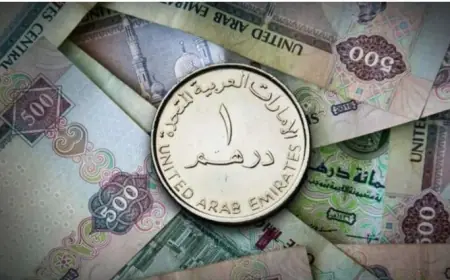 تحديث سعر الدرهم الإماراتي في مصر ليوم الأحد 20 سبتمبر 2026