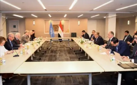 وزير الخارجية المصري يعلن رفض مصر القاطع لتهجير الفلسطينيين خلال لقاء مع وفد المنظمات اليهودية الأمريكية