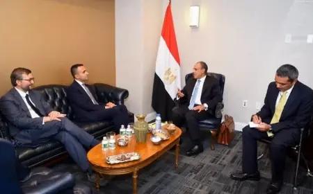 عبد العاطي والمبعوث الأوروبي يناقشان الأوضاع في اليمن والأزمة الإيرانية وأمن الملاحة في مضيق هرمز