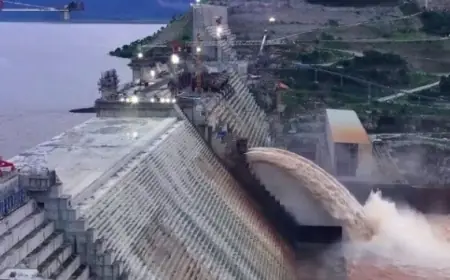 وزير الري يعلن أن سد النهضة غير شرعي ومصر ستقوم باتخاذ الإجراءات اللازمة في وقتها المناسب فيديو