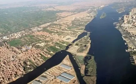 وزير الري يكشف الفجوة الكبرى بين مصر وإثيوبيا في مجالات المياه والزراعة والثروة الحيوانية
