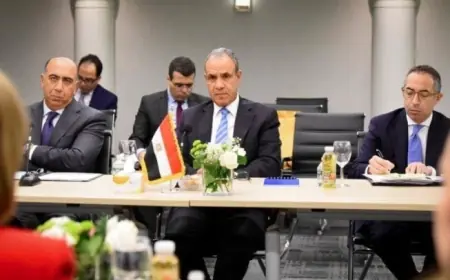 عبد العاطي يدعو إلى دور أممي أكثر تأثيرًا لمواجهة تحديات الدول النامية