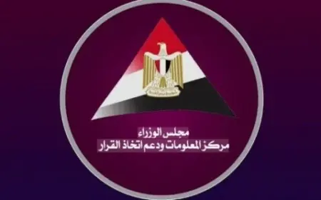 خريطة توزيع الغاز الطبيعي في الصعيد تشمل 2.2 مليون عميل منزلي و202 منشأة صناعية