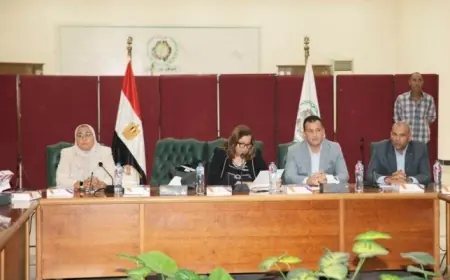 وفد من جامعة نانجينج الصينية يزور مشاريع سكن لكل المصريين لتعزيز التعاون الدولي