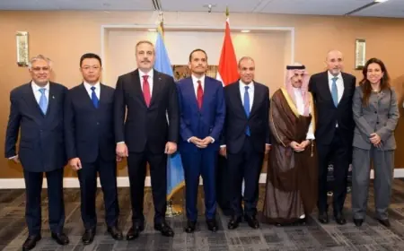 وزير الخارجية يناقش تفاصيل خطة ترامب للسلام وانتهاء صراع غزة
