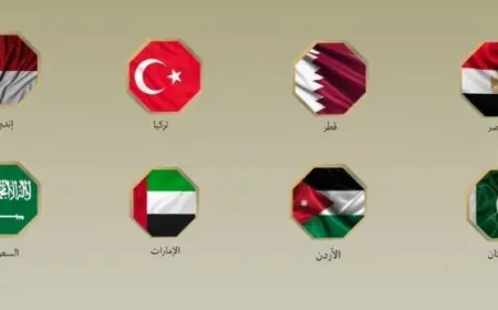 مصر و7 دول تتحد في اجتماع ثماني بنيويورك لدعوة العالم للالتزام بوقف إطلاق النار في غزة