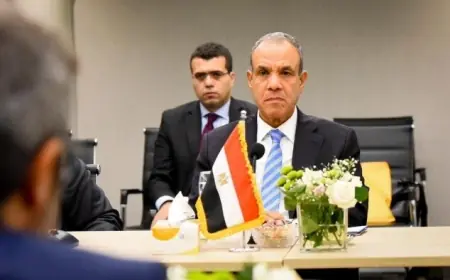 مصر تبرز أهمية تعزيز دور الأمم المتحدة في حل النزاعات بطرق سلمية
