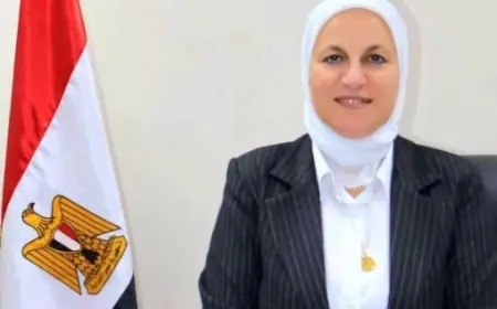 تعليم القاهرة يعلن إعادة فتح باب التحويلات الإلكترونية للطلاب لمدة يومين فقط