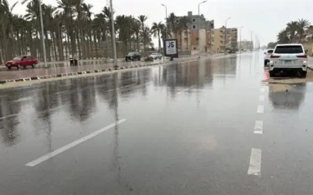توقعات حالة الطقس اليوم الخميس ارتفاع درجات الحرارة وهطول أمطار متفاوتة الشدة في عدة مناطق