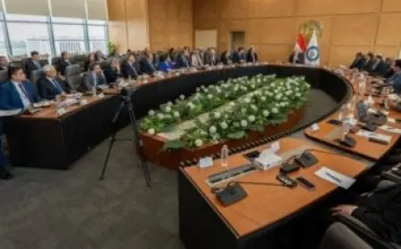 وزير الخارجية يعقد مباحثات مع نظيره الجزائري لتعزيز التعاون والتنسيق حول القضايا الإقليمية