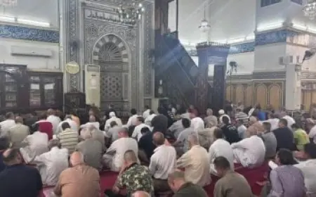 مصر تصنع تاريخًا جديدًا في توطين صناعات النقل من خلال تحول مقاعد القطارات إلى أسواق عالمية