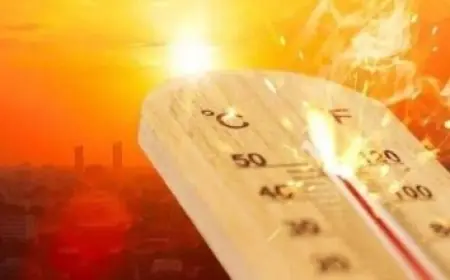 الرئيس السيسي يطلق فعاليات معرض مصر للتعدين ويستعرض أحدث الابتكارات في أجنحة وزارة البترول والشركات العالمية الكبرى