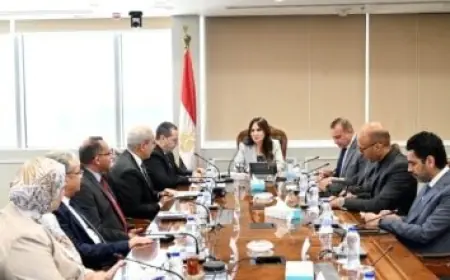 الرئيس السيسي يوجه دعوة لمجلس النواب لبدء دور الانعقاد الثاني