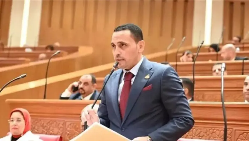 زيارة الرئيس الصيني تعزز فرص تطوير مشروعات الصناعة والتكنولوجيا والإنتاج في مصر