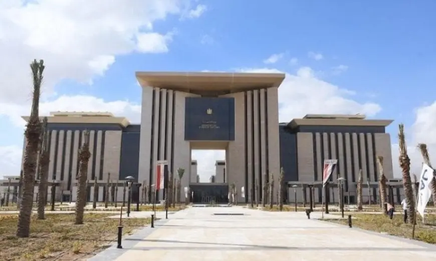وزارة الخارجية تطلق مبادرة علاجك في مصر لمساندة المصريين المقيمين بالخارج