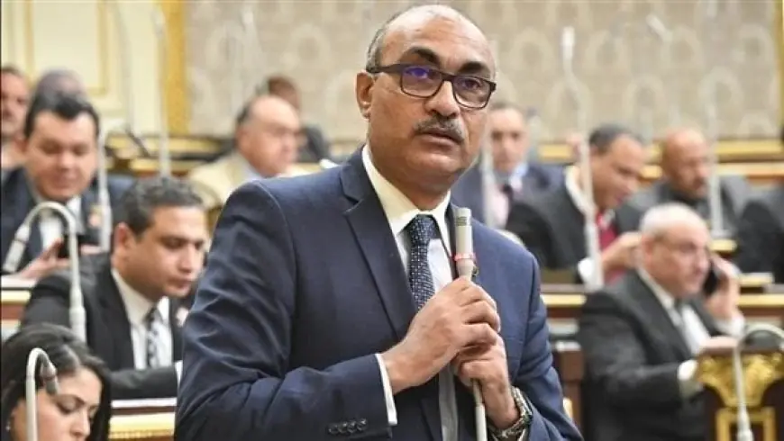 إيهاب منصور يؤكد في شبكة ملتزم أن زيارة الرئيس الصيني تعزز مكانة مصر الإقليمية والدولية