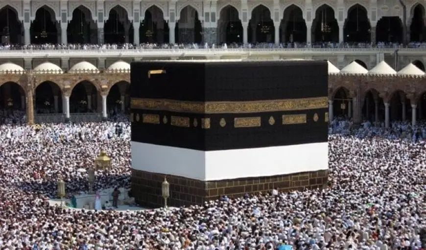 الغرف السياحية تؤكد أن التحول الرقمي وتطبيق رفيق يعززان كفاءة نظام الحج