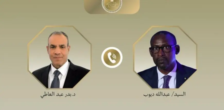 وزير الخارجية يبحث مع نظيره المالي تعزيز العلاقات الثنائية وأحدث تطورات منطقة الساحل