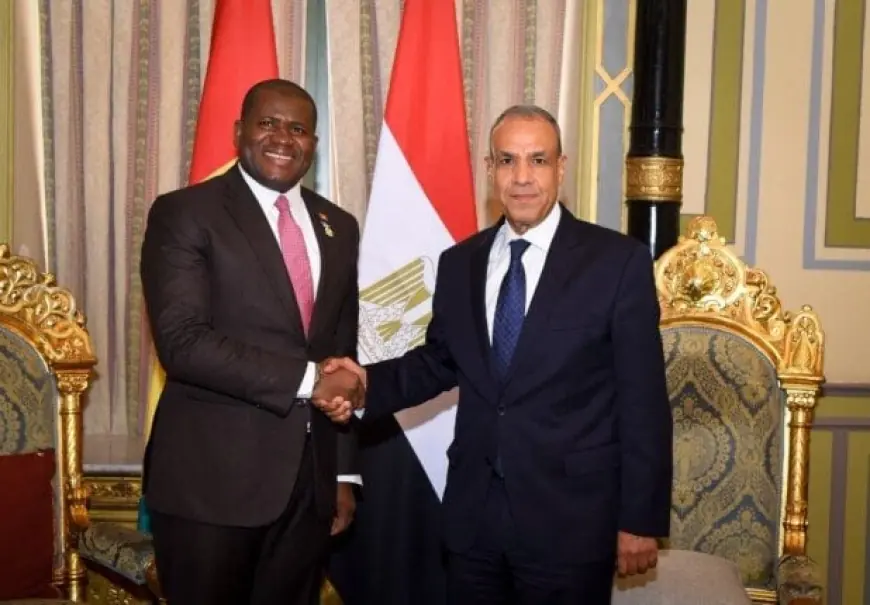 مصر وغينيا تعززان التعاون في الاقتصاد والتنمية والاستثمار لتحقيق التنمية المستدامة